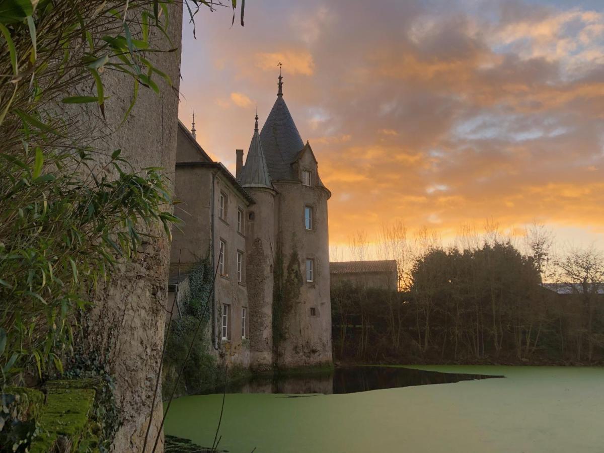 Chateau De La Preuille Gites Montaigu-Vendee Exterior photo