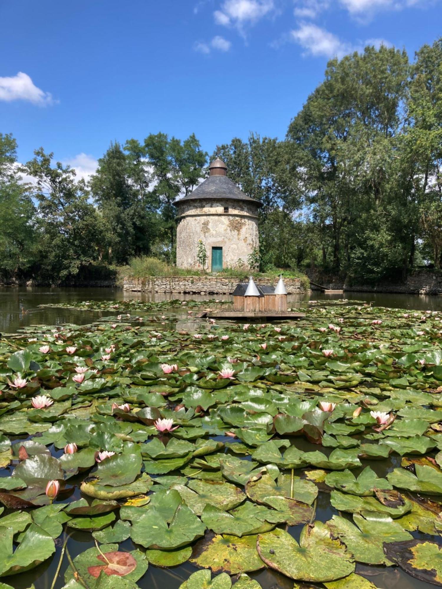 Chateau De La Preuille Gites Montaigu-Vendee Exterior photo