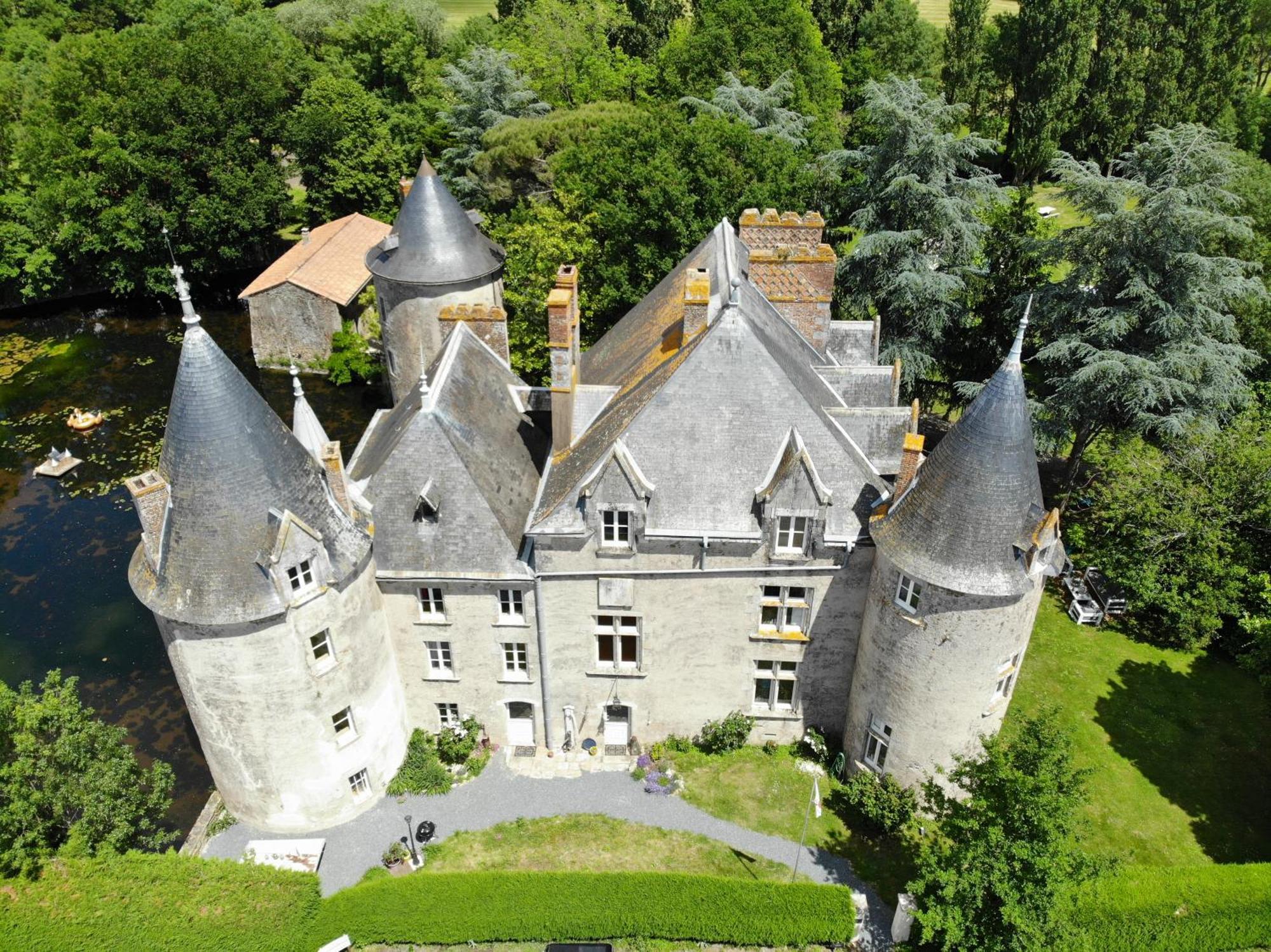 Chateau De La Preuille Gites Montaigu-Vendee Exterior photo